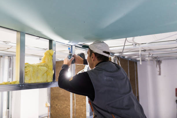 Professional Insulation Contractor in Manatee Road, FL